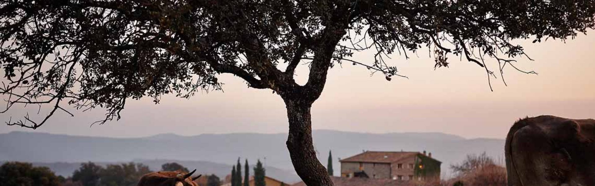 restaurante Els Casals