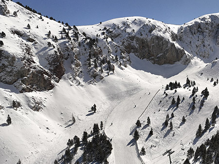 thumb-masella