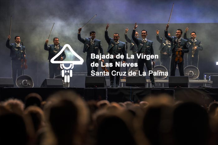 Bajada de la Virgen de las Nieves